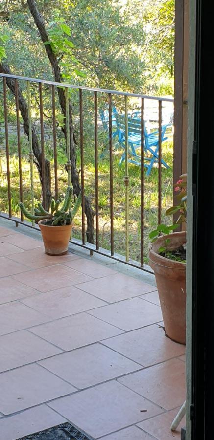 Casa Vacanza Etna Evergreen Villa Piedimonte Etneo Bagian luar foto