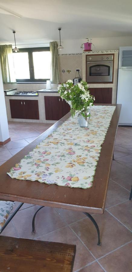 Casa Vacanza Etna Evergreen Villa Piedimonte Etneo Bagian luar foto